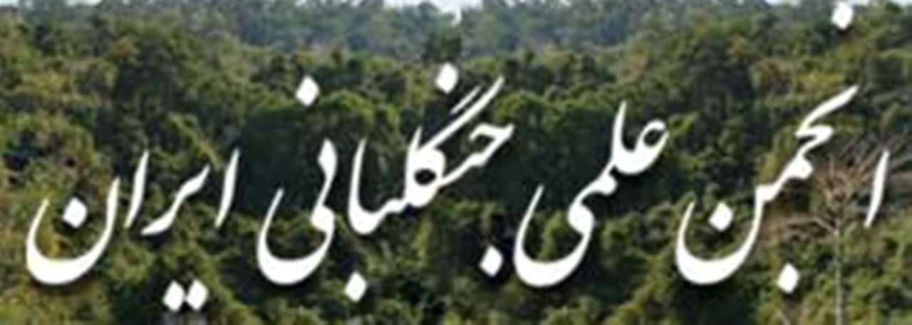 انجمن جنگل بانی ایران
