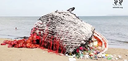 اعتراض به زباله‌ های پلاستیکی با ساخت مجسمه نهنگ مرده