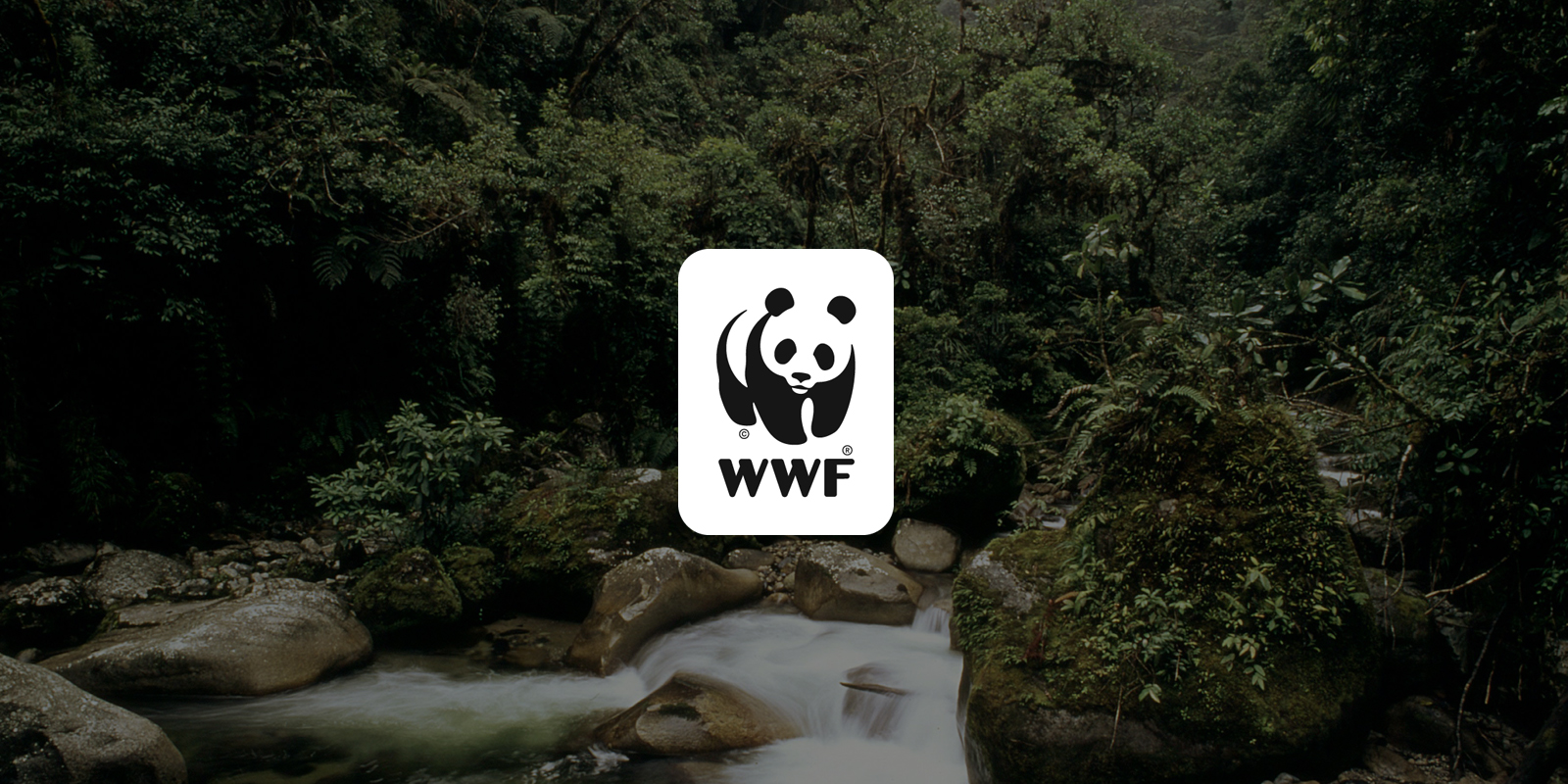 با صندوق جهانی حیات‌وحش (WWF) آشنا شوید