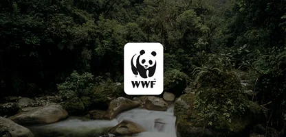 با صندوق جهانی حیات‌وحش (WWF) آشنا شوید