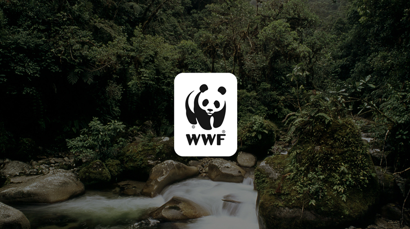 با صندوق جهانی حیات‌وحش (WWF) آشنا شوید