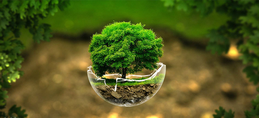 در روز جهانی زمین پاک چگونه به زمین کمک کنیم؟!