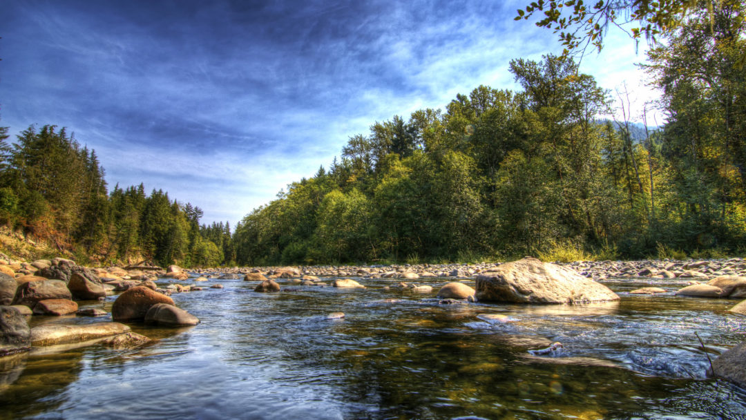 روز جهانی «اقدام برای حفظ رودخانه ها»