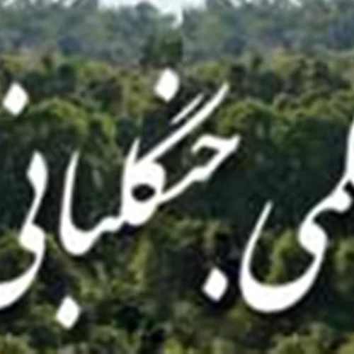 انجمن جنگل بانی ایران